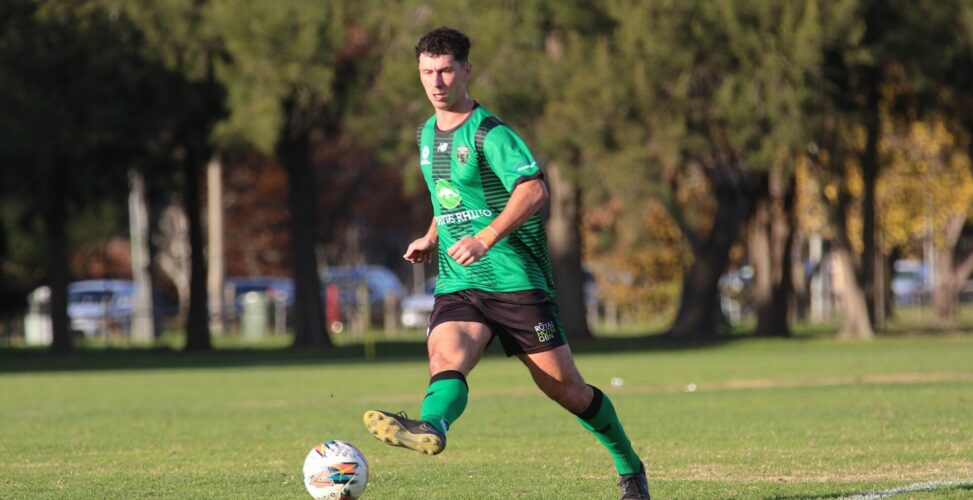 REVIEW: NPL MEN – PANTHERS REDISCOVER FORM