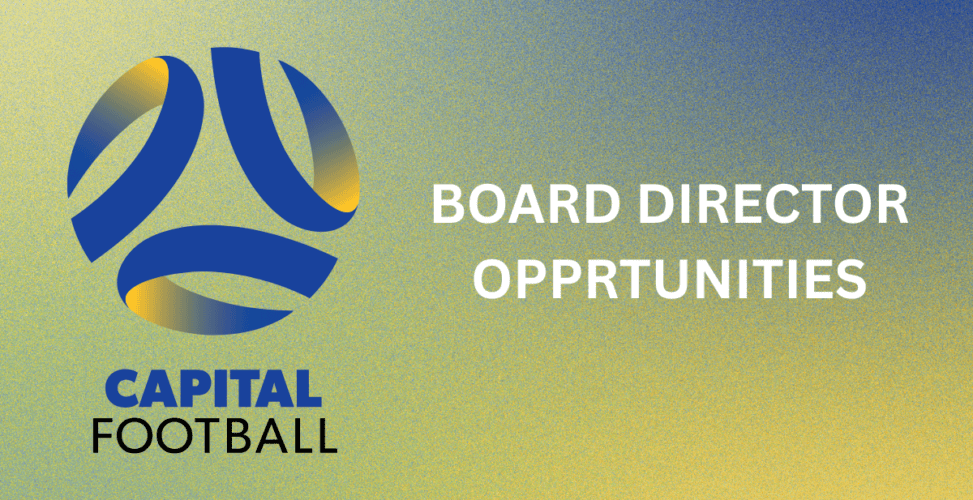 Board Director Opportunities