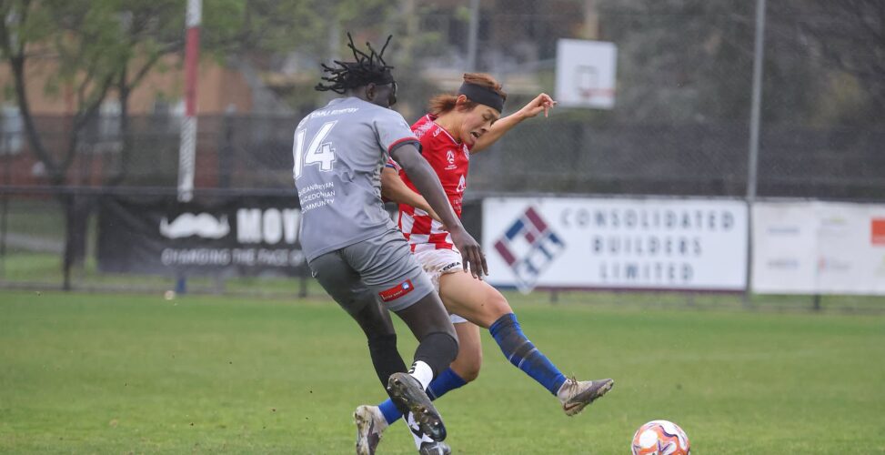 REVIEW: NPL Men’s Preliminary Finals